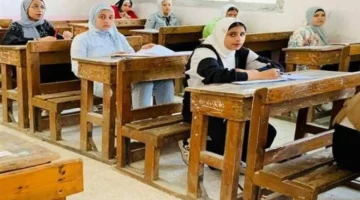 بالرقم القومي.. موعد ظهور نتيجة الشهادة الإعدادية في محافظة بورسعيد عبر الرابط الرسمي